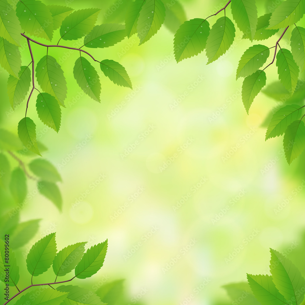 Spring green leaves background, vector illustration