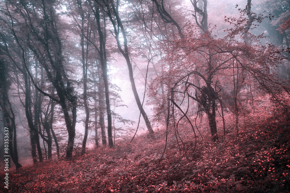 Mysterious spring forest in fog with pink leaves and red flowers