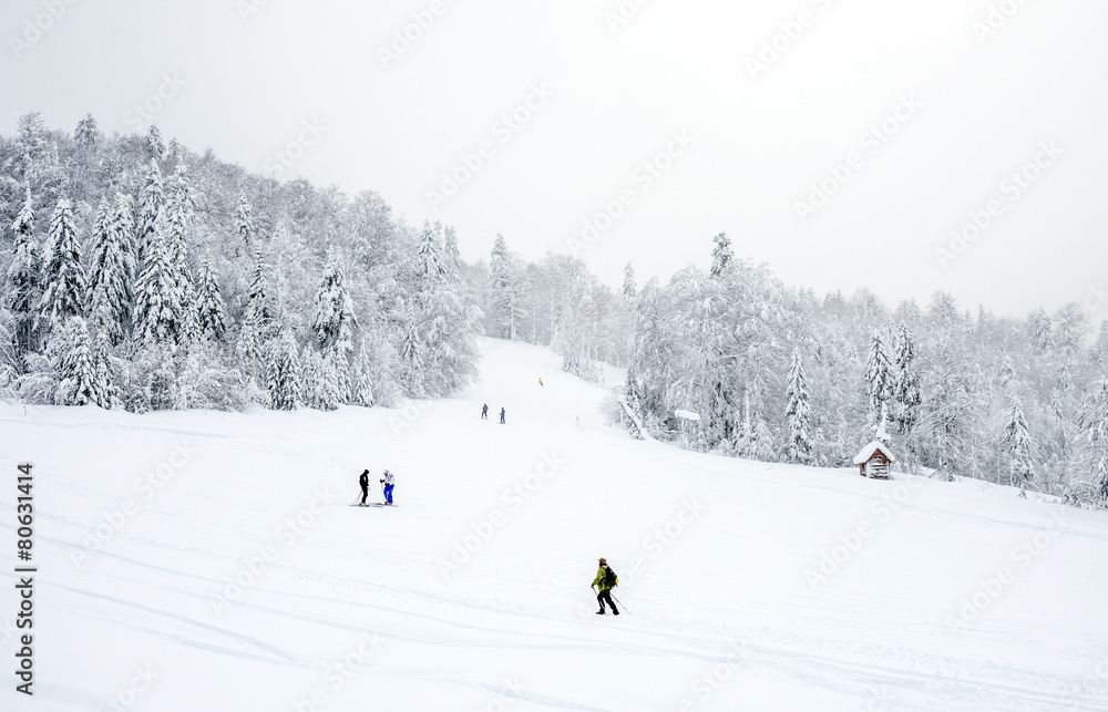 黑山KOLASIN滑雪场