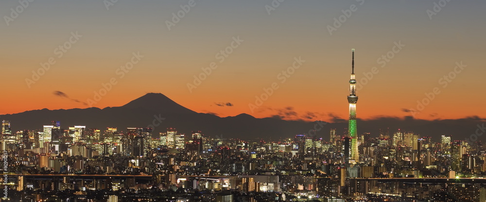 东京城市景观，东京天树和富士山。