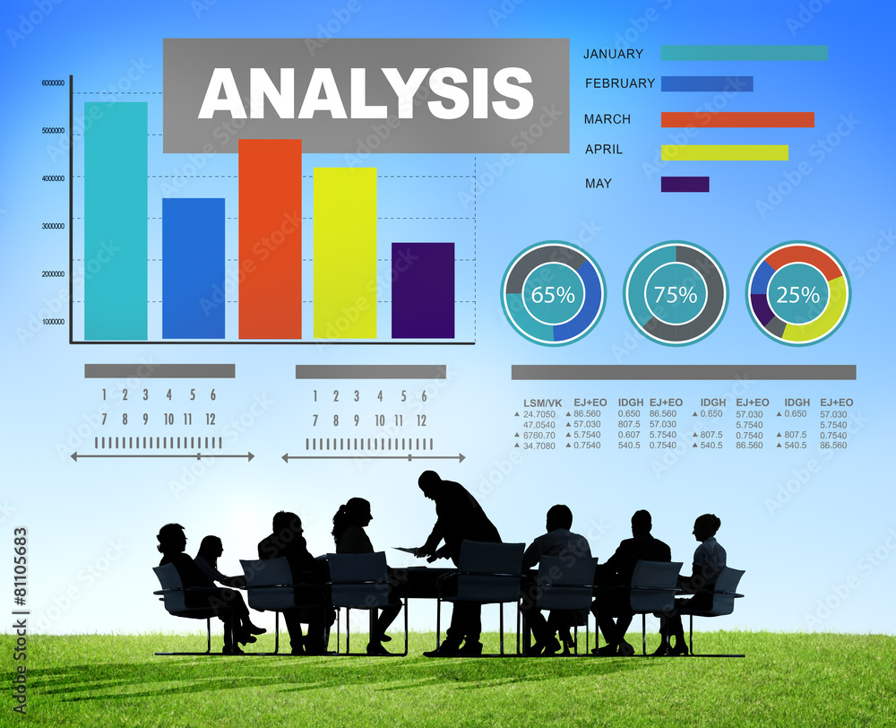 分析分析信息条形图数据统计概念
