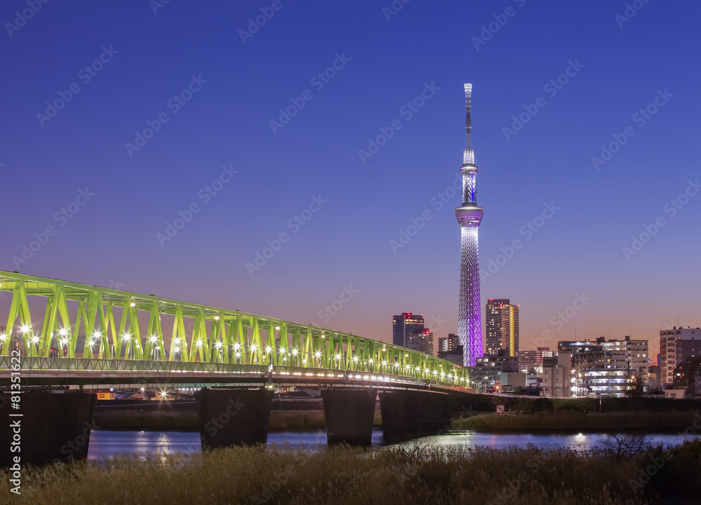 黄昏时东京天空树和隅田河的东京城市景观