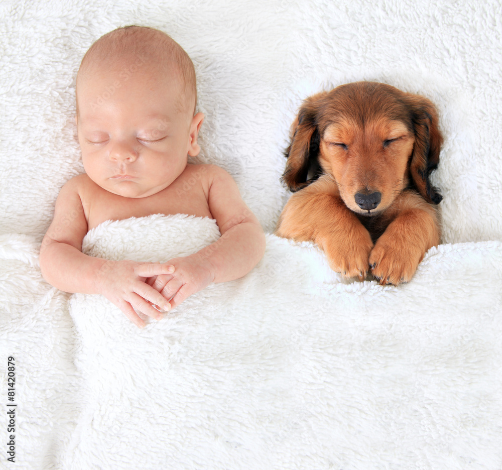 Newborn baby and puppy