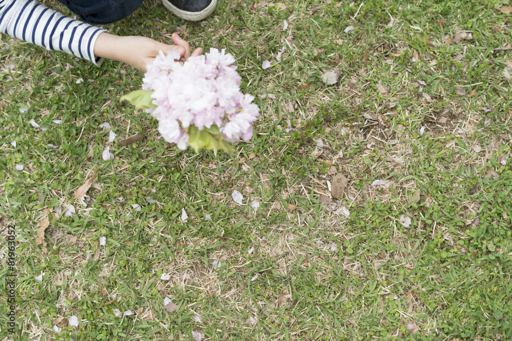 女孩在公园里摘了花