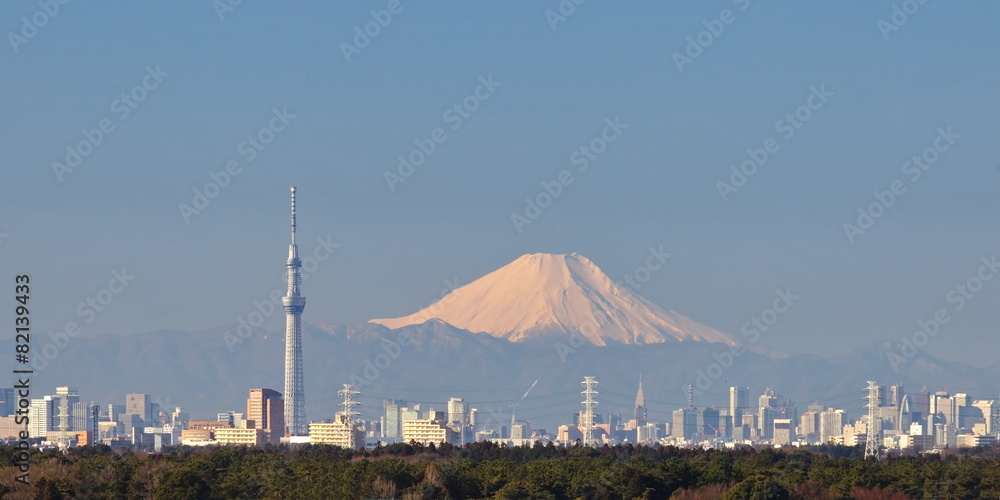 东京天空树和富士山的东京城市景观