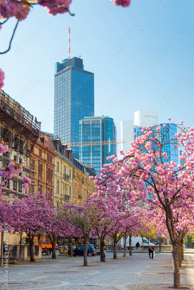 Frankfurt im Frühling