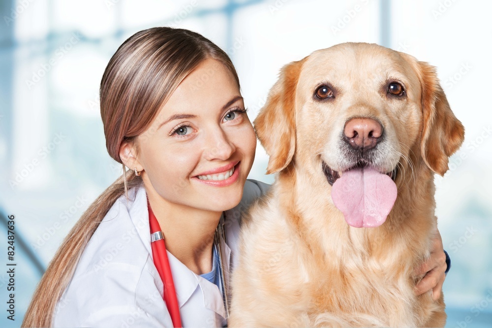 成年人。可爱的狗在兽医那里，有一个快乐的医生