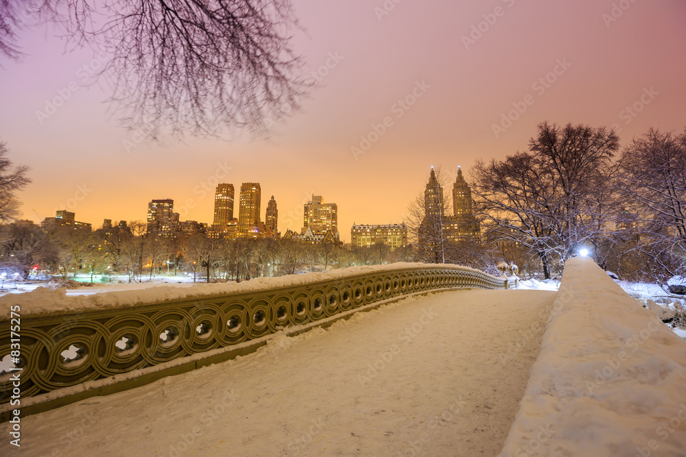 中央公园-暴风雪后的纽约市拱桥