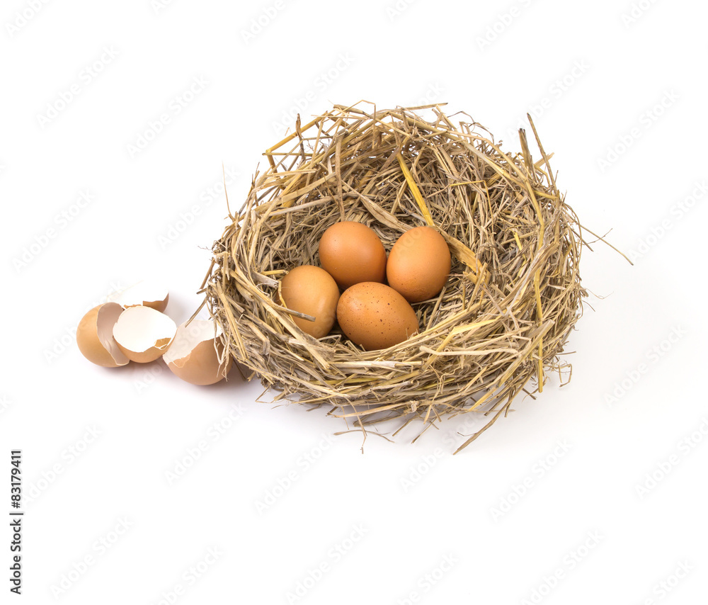 树枝与破壳空壳的棕色鸡蛋筑巢e