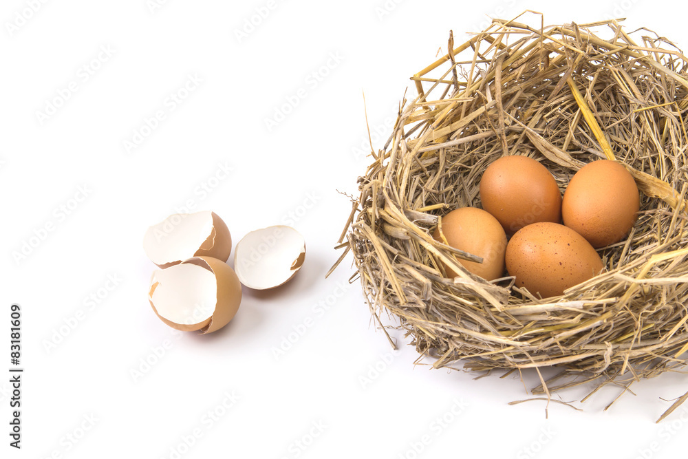 树枝与破壳空壳的棕色鸡蛋筑巢e