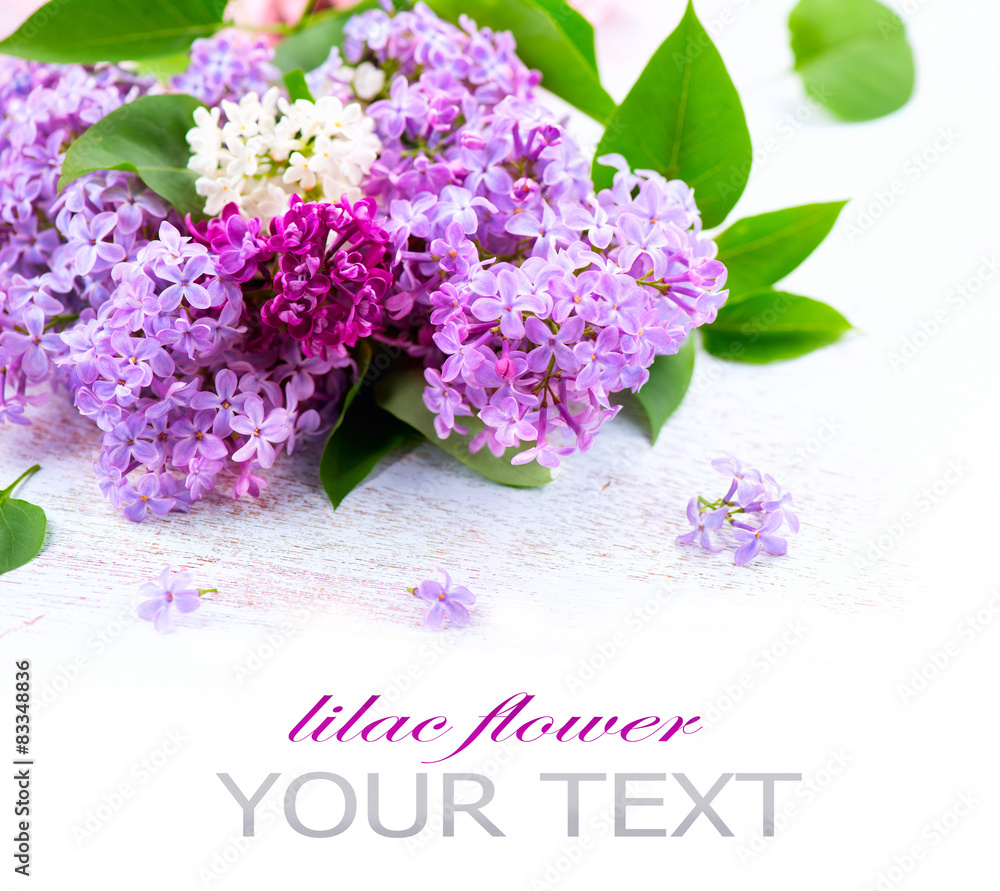 Lilac flowers bunch over white wooden background