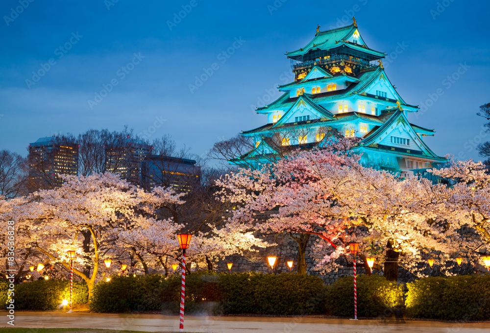 樱花盛开的大阪城堡，日本大阪