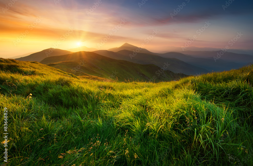 日出时的山谷。自然的夏季景观
