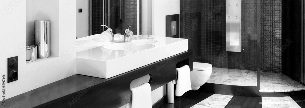 Bathroom In Black & White
