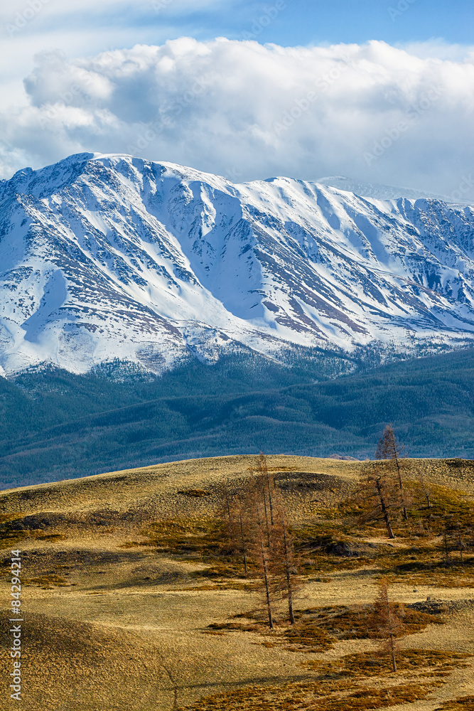 Kurai地区的阿尔泰山脉，背面有北Chuisky山脊