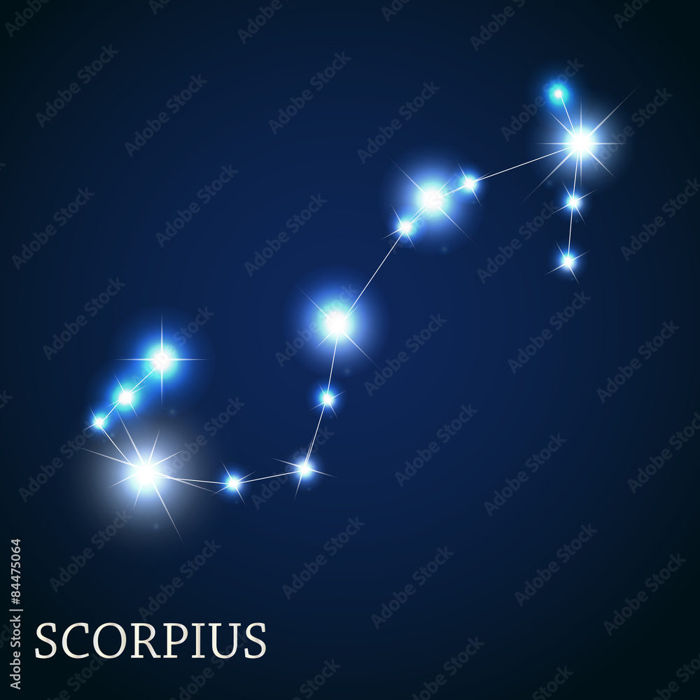 天蝎座美丽明亮恒星的星座矢量幻觉