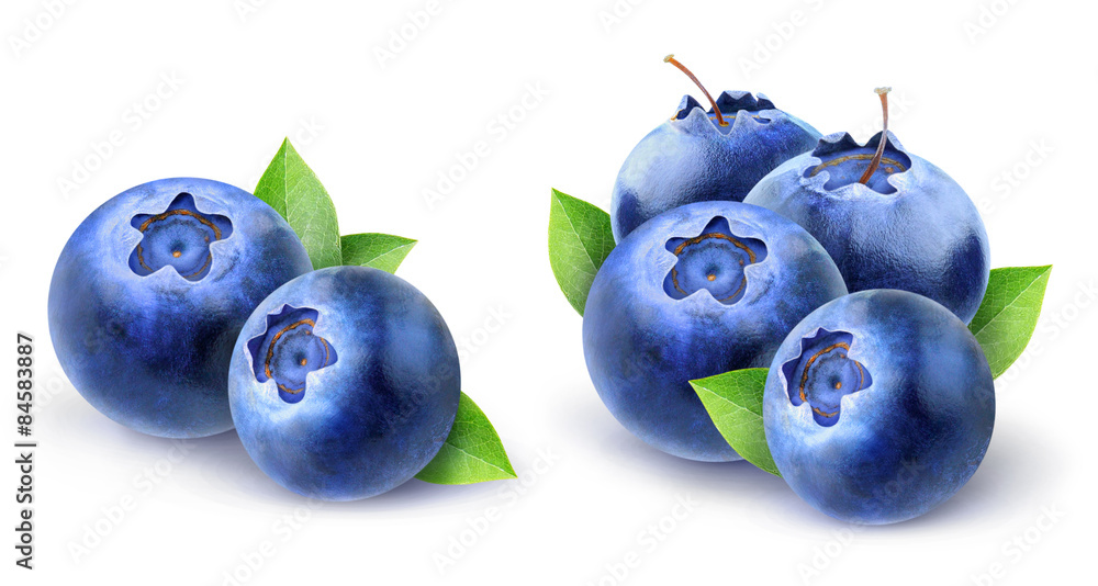 白色背景下的新鲜蓝莓