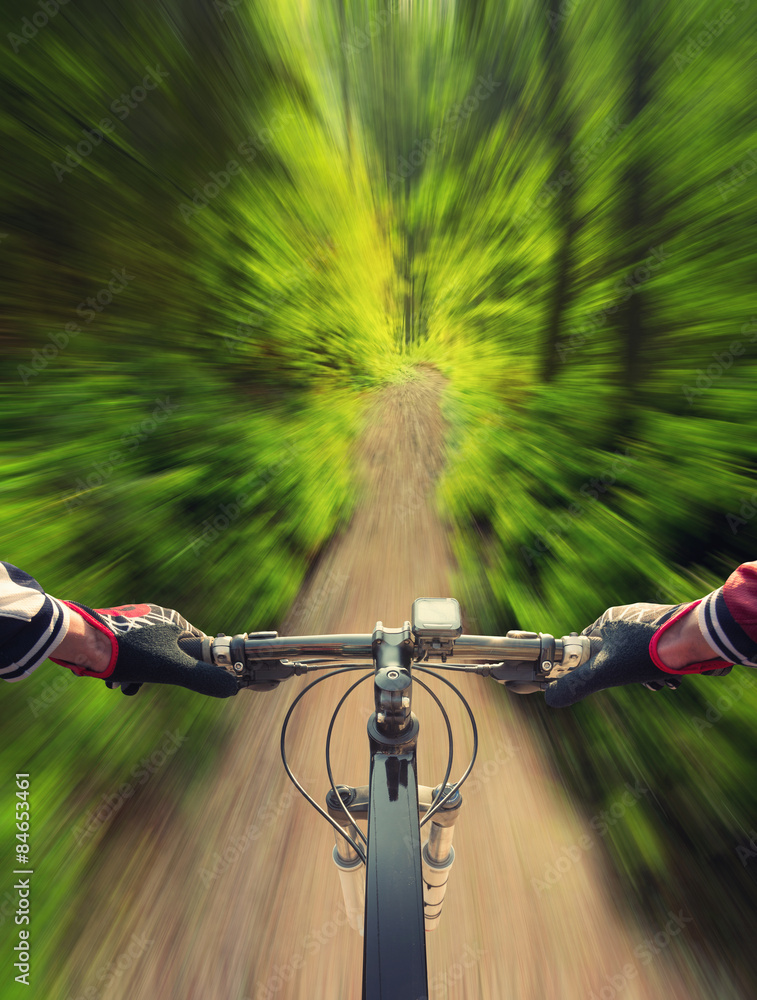 夏日森林中的快速骑行。运动和积极的生活理念