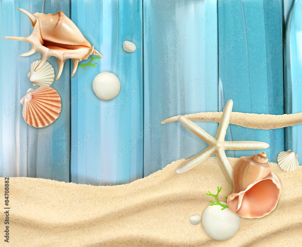 沙子和木头背景上的贝壳