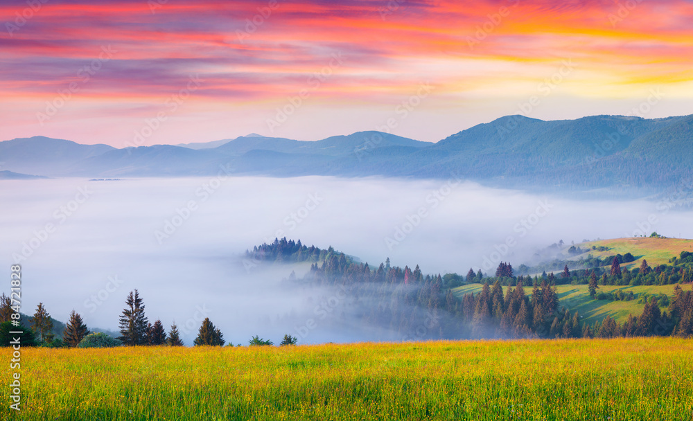 雾蒙蒙的喀尔巴阡山脉中五彩缤纷的夏日日出