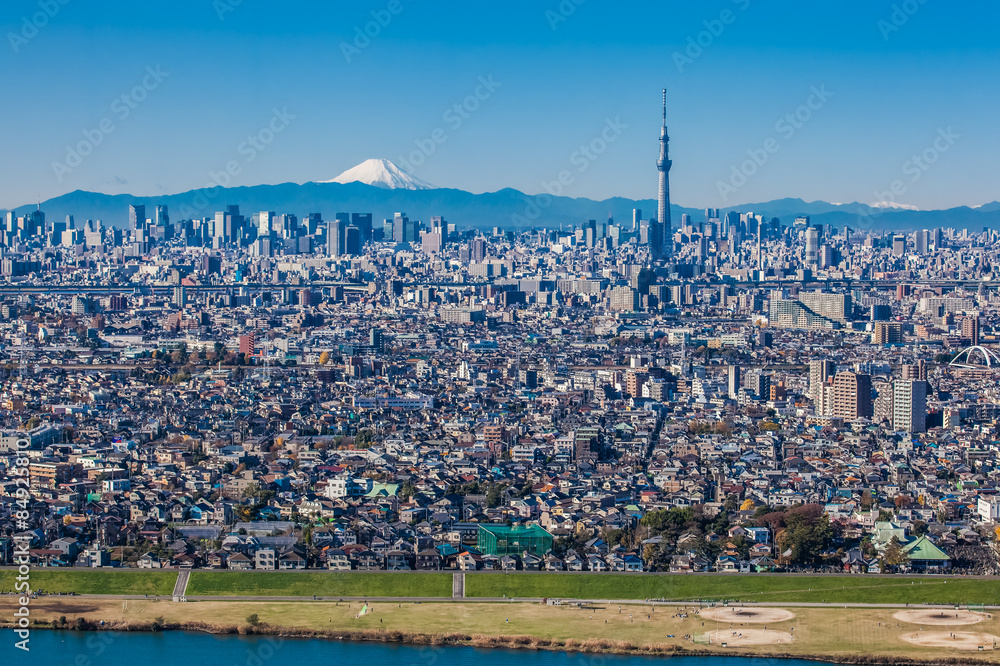 东京天空树和富士山的东京城市景观