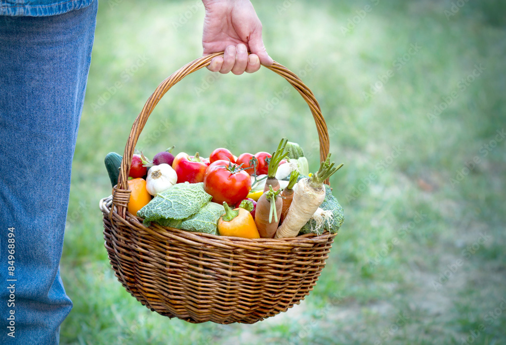 农民手中，装满有机蔬菜的篮子