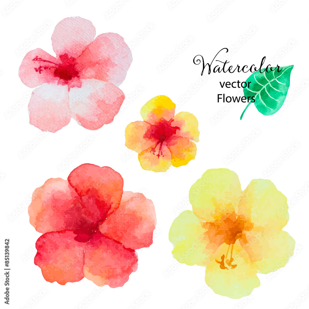 Set of watercolor hibiscus flowers.