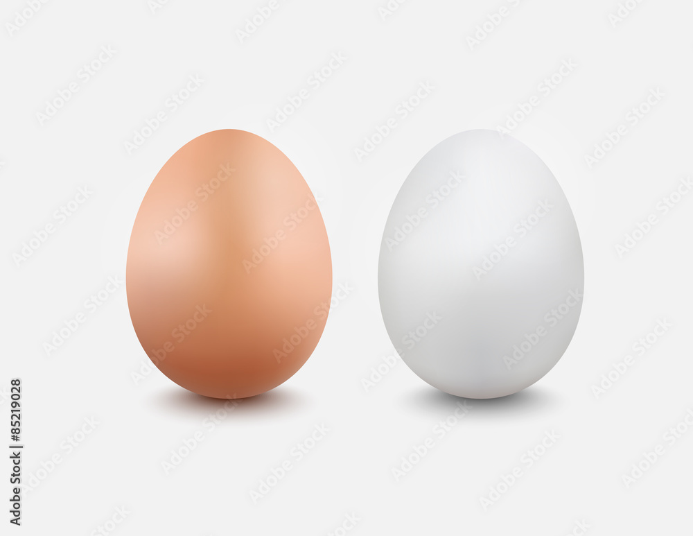 棕色和白色鸡蛋，矢量