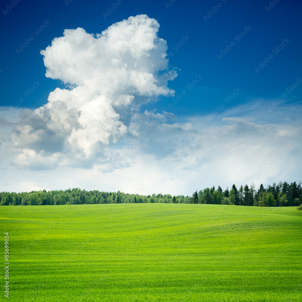 蓝天背景下的绿色田野