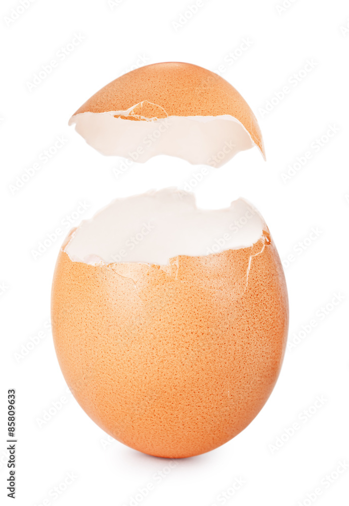蛋壳被隔离在白色背景上