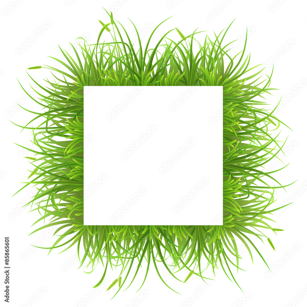 白底绿草方形框架