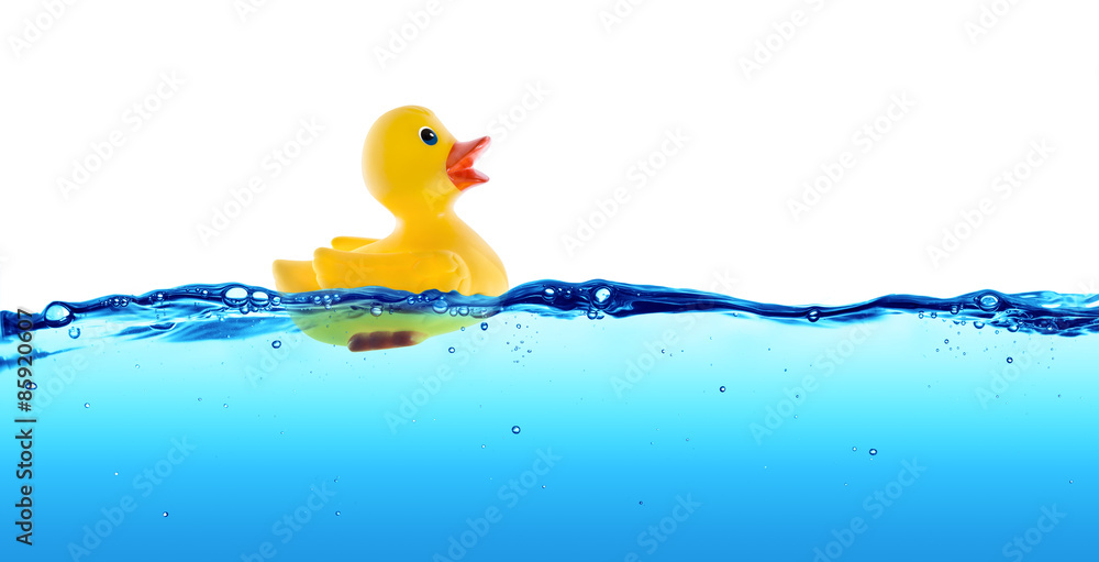 橡皮鸭漂浮在水中