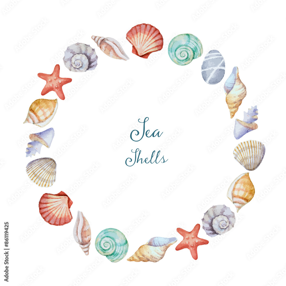 海洋贝壳的水彩画圆形框架