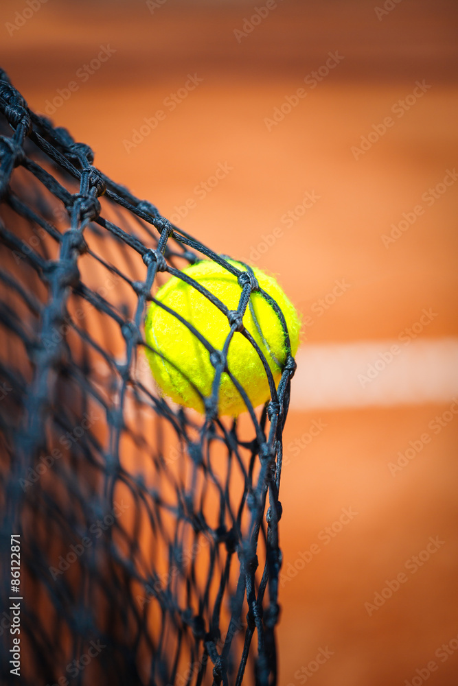 网中网球