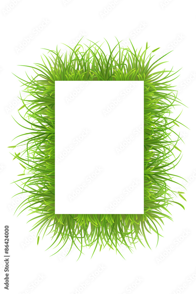 白色背景绿草矩形框架