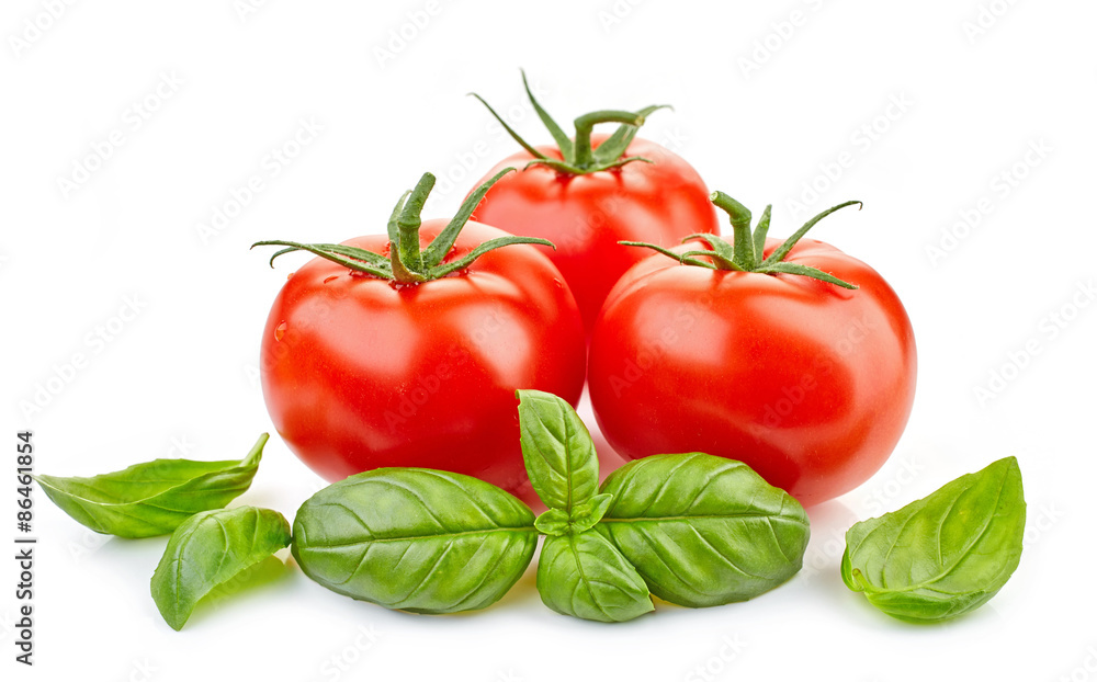 新鲜番茄和罗勒叶