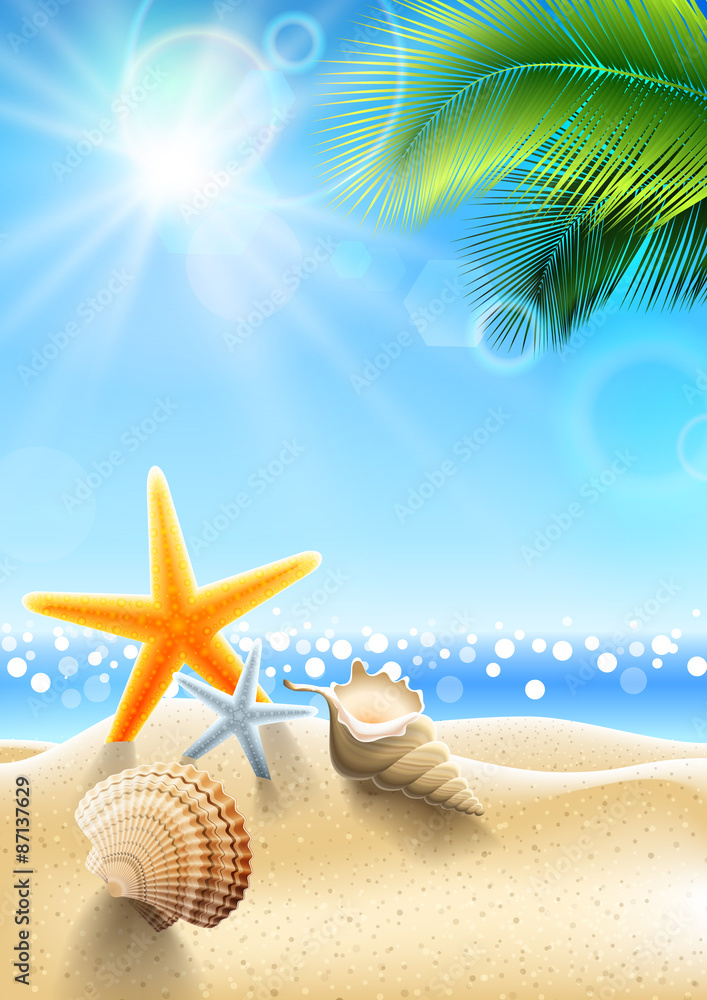 Summer holidays - seashell on tropical beach