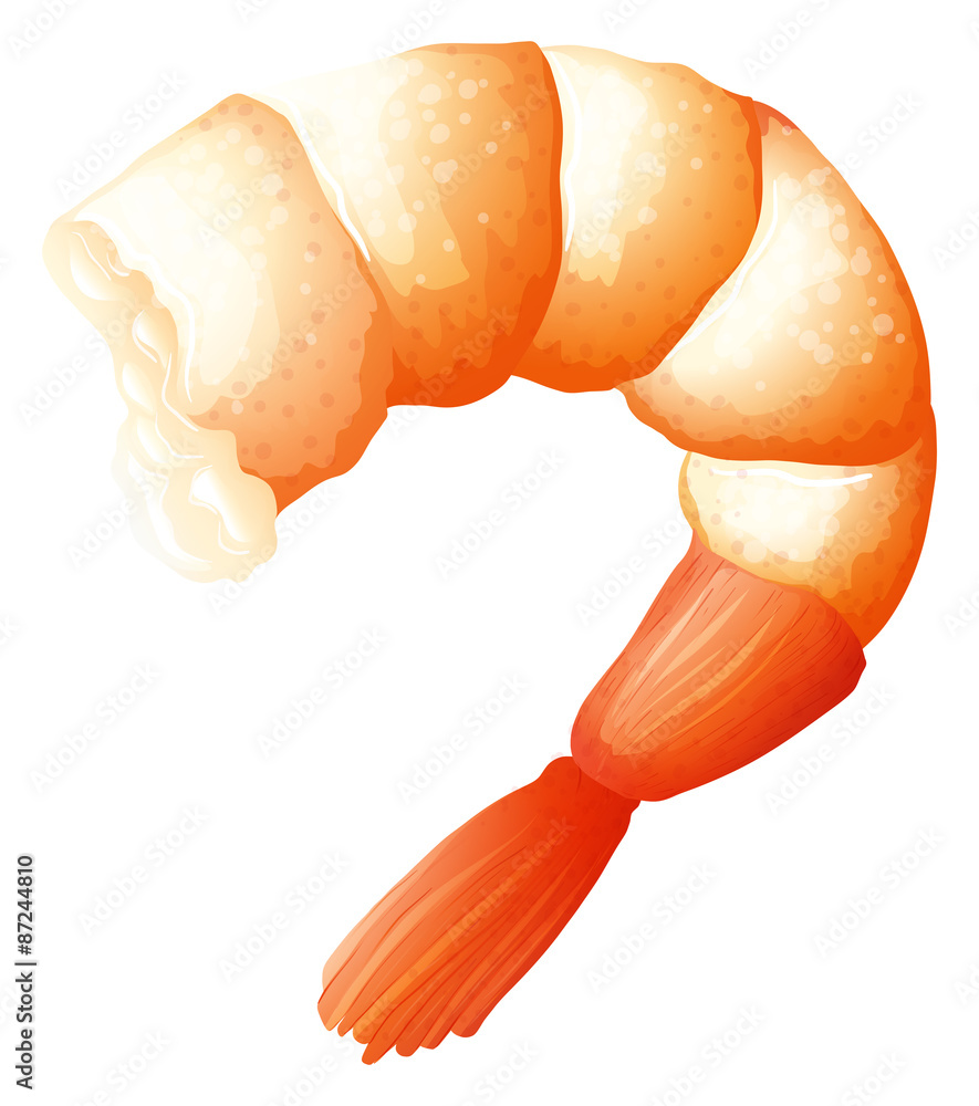 Shrimp tail on white