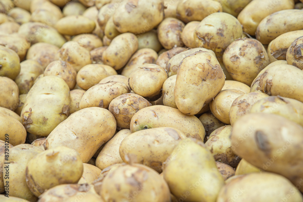 市场上土豆生蔬菜食品的花纹质地和b