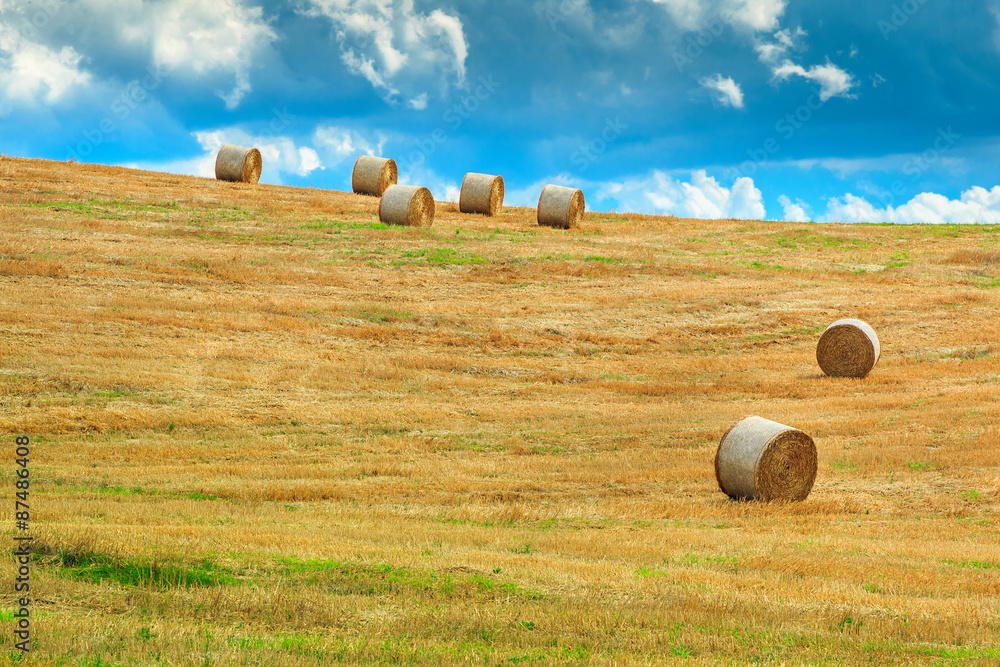 Hay bales on the field after harvest,Tuscany,Italy,Europe