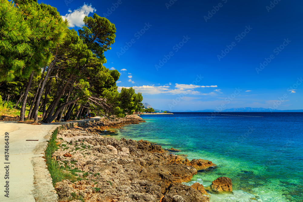 令人惊叹的海滩，岩石海岸线，布雷拉，达尔马提亚，克罗地亚，欧洲