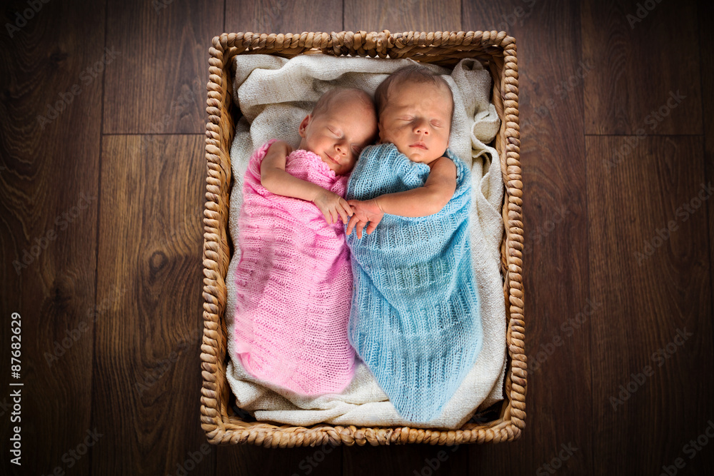 新生儿双胞胎躺在柳条篮子里
