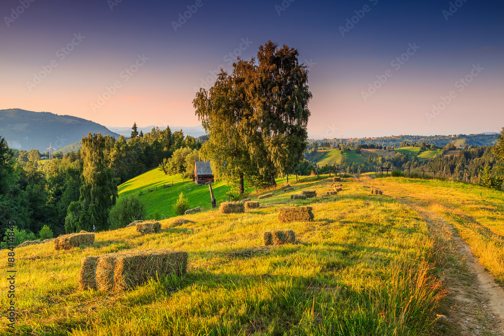 欧洲罗马尼亚特兰西瓦尼亚，干草捆的美丽乡村景观