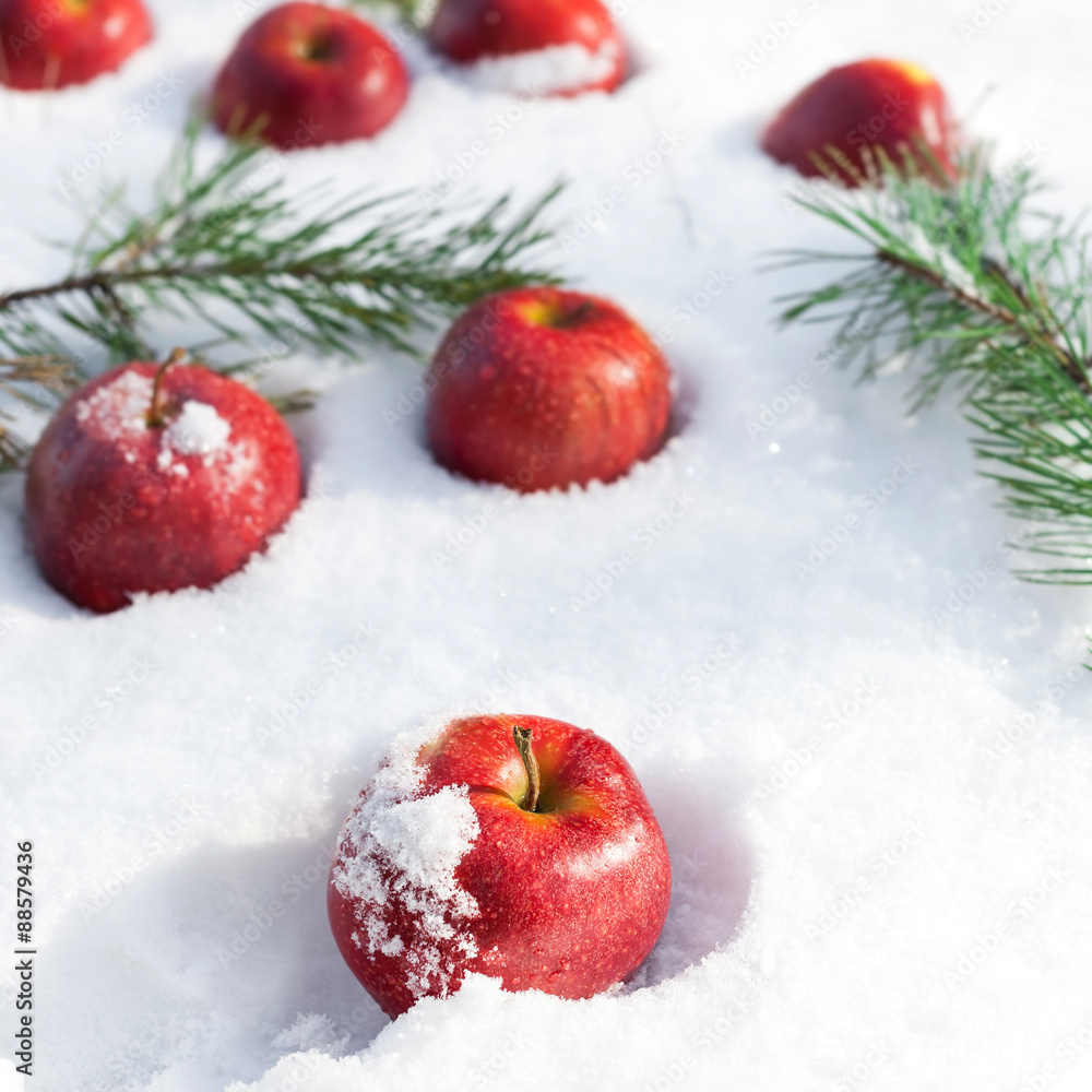 Red apples on white snow