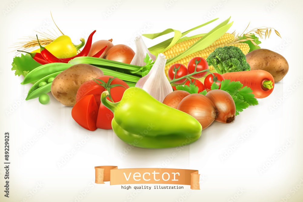 收获多汁和成熟的蔬菜，在白色上分离的载体插图