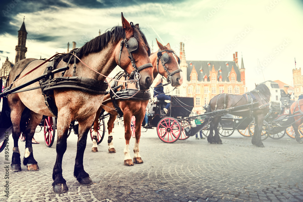 比利时布鲁日旧市场广场上的马车
