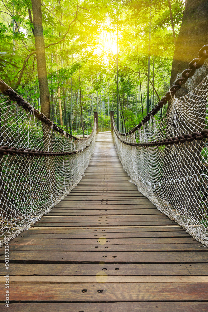 森林中的吊桥