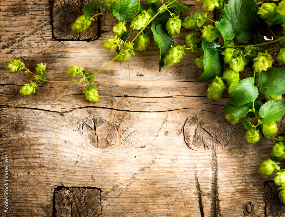 Hop twig over old wooden table background. Vintage style. Beer production. Brewing