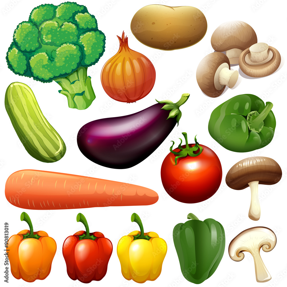 不同种类的新鲜蔬菜
