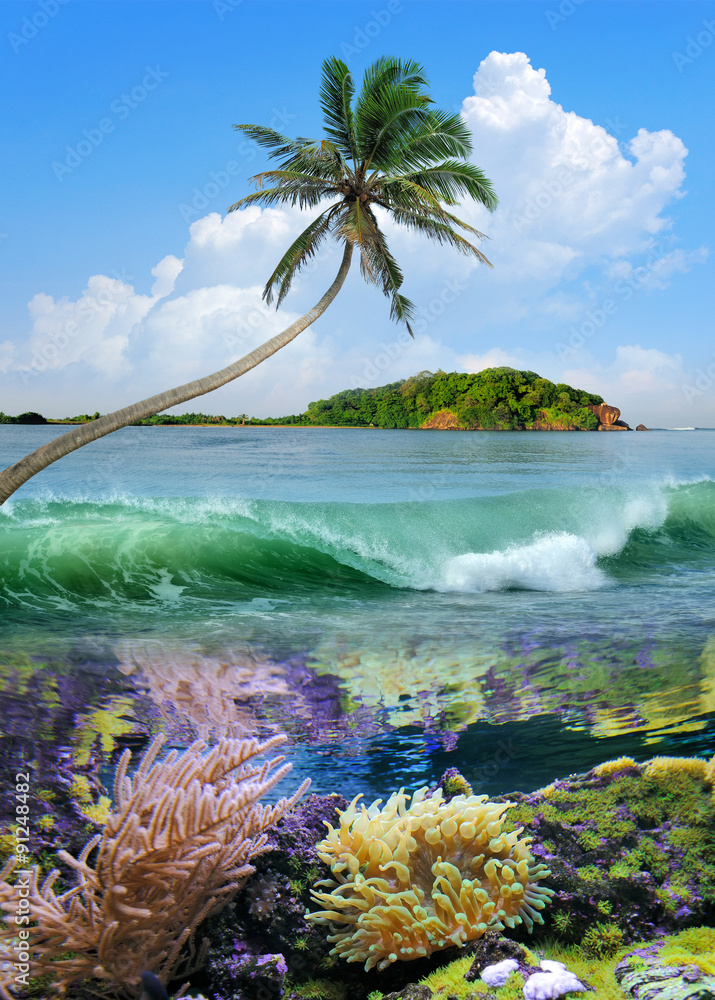 Beautiful island with palm trees